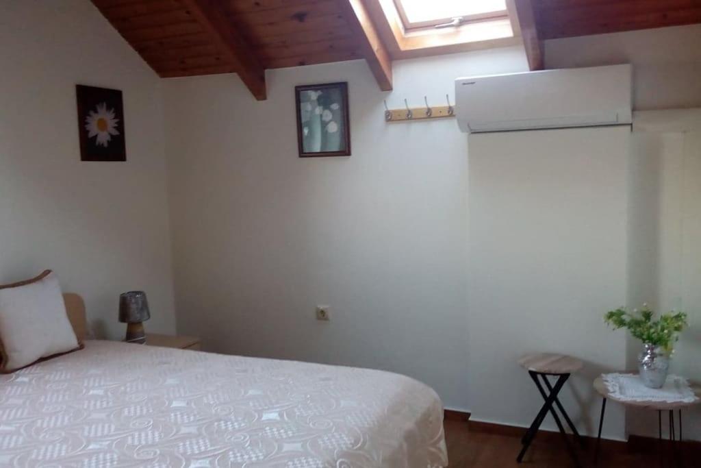 חאניה Cozy New Apartments Nea Chora מראה חיצוני תמונה
