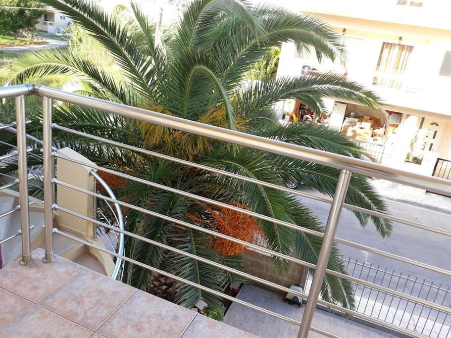 חאניה Cozy New Apartments Nea Chora מראה חיצוני תמונה